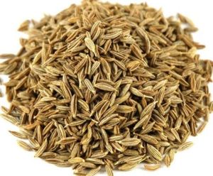 Semillas de Comino Premium, Cuminum Cyminum, Grado Alimenticio, Limpias, Clasificadas, Uniformes, Grados Regular y Grueso, Alto Contenido de Aceite Volátil, Bajo Contenido de Humedad, a Granel - Product Image 1