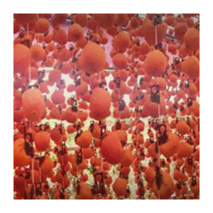 Caqui seco de calidad superior de Vietnam, sabor afrutado naturalmente dulce, producto OEM ideal para supermercados y mercados de exportación - Product Image 1