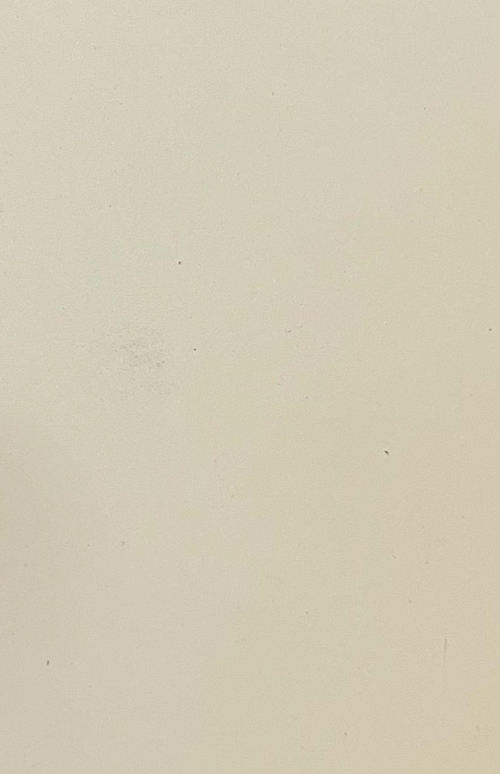 ข้าวโพดกำมะหยี่