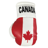 Mini gants de boxe promotionnels de miroir de voiture de qualité supérieure au design personnalisé en gros Mini gants drapeau de tous les pays Mini gants