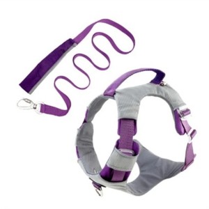 Arnés de Nailon Morado para Perro con Cierre de Hebilla Ajustable y Juego de Correa a Juego para Perros Medianos - Product Image 1