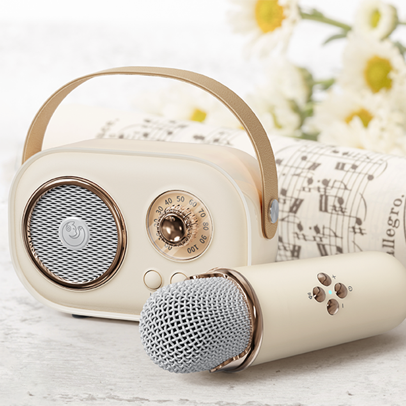 Christmas Promotion Best Selling Handheld Karaoke