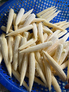 เมล็ดข้าวโพดขี้ผึ้งแช่แข็งที่มีเนื้อนุ่มเป็นธรรมชาติเหมาะสำหรับร้านอาหาร - Product Image 4