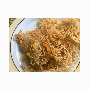 ต้นมอสแห้ง-ไอริชมอสแห้งสาหร่าย Eucheuma cottonii - 100% ธรรมชาติธรรมชาติที่ทำจากธรรมชาติ, บริสุทธิ์, ปลอดจีเอ็มโอ - Product Image 4