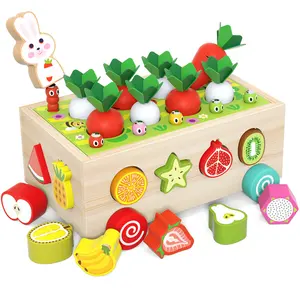 新设计的木制玩具车早期教育认知游戏，适用于0-24个月2-4岁和5-7岁的孩子