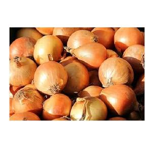 หัวหอมสีเหลืองออร์แกนิคปอกเปลือกหัวหอมสีแดงสดใหม่ - Product Image 2