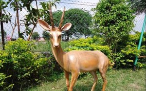 Producto recién llegado de estatua de ciervo FRP 2025 del fabricante mundial a un costo muy bajo - Product Image 4