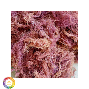 100% Organic Natural Dried Eucheuma Cottonii <b>Seaweed</b>/Dried Sea Moss Cheap Price From Vietnam/Irish Moss for Export - Product Image 6