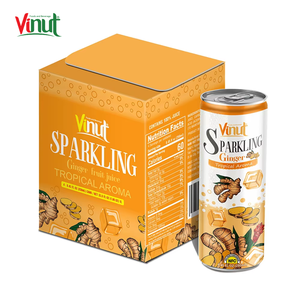 Boîte de 4 canettes de 250 ml d'eau gazeuse au gingembre, saveur tropicale, 40 % de pureté, fraîchement pressée, et design d'emballage pour boisson - Product Image 1