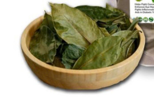 Guanábana deja una comida saludable precio barato de VIETNAM - Product Image 3