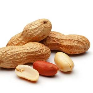 Cacahuetes Frescos Sudafricanos de Grado AA, 100% Naturales, Disponibles Ahora - Product Image 2