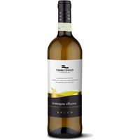 Vino Blanco Seco Italiano Premium - TERRE CEVICO Albana Di Romagna Secco DOCG 750ml 6 Botellas por Caja
