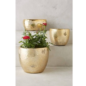 Soporte para Macetas de Metal de Hierro de Alta Calidad Personalizado, Estilo de Diseño Vintage, Jardín, Hogar, Vivero, Maceta Directa de la India - Product Image 3