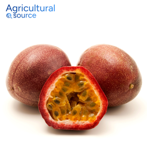 Fruta de la Pasión definitiva: hidrata naturalmente la calidad auténtica, ideal para refrescos diarios, fruta de la pasión, de las granjas de Vietnam - Product Image 1