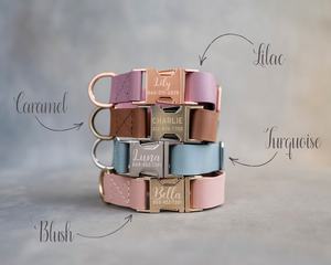 Webbing Dog Collar with Tribal Engraving, 1" Custom Fit for Boys & Girls - Product Image 1