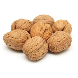 Wholesale Natural <b>Walnuts</b> Bulk Supply Premium <b>Shelled</b> Nuts for Retail and Food Processing - Product Image 6