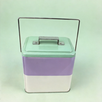 Boîte en métal sans plomb testée SGS avec couvercle coulissant profond et poignée en fil métallique pour le rangement de cosmétiques, parfums et articles de toilette