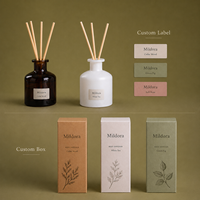 Diffuseur d'huiles essentielles personnalisé écologique, parfum pêche, sans flamme, élégant, inspiré d'Instagram, créatif pour la maison