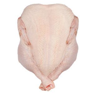 Sillín de Pollo Congelado de Primera Calidad con 12 Meses de Vida Útil en Venta - Product Image 1