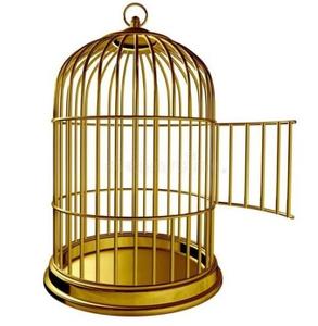 Cage à oiseaux en fer suspendue en métal de haute qualité Cage à oiseaux de taille personnalisée de couleur dorée pour une utilisation extérieure de jardin - Product Image 1