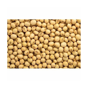Grains de soja biologiques non-OGM en vrac avec certificats d'inspection - Product Image 1
