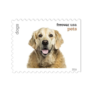 アメリカファーストクラスヴィンテージ永遠にカワイイ郵便切手ステッカー私たち子猫と子犬のペイン郵便切手ステッカーパーティー用 - Product Image 4