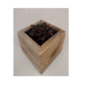 Rustic <b>Wooden</b> <b>Planter</b> Pot Boxes Wood Style Plant Pots <b>for</b> Round Shape and Metal Handle Hot <b>Sale</b> Product - Product Image 2