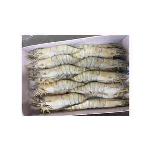 Entrega rápida de camarones tigre negros congelados PND preparados para pedidos al por mayor - Product Image 2