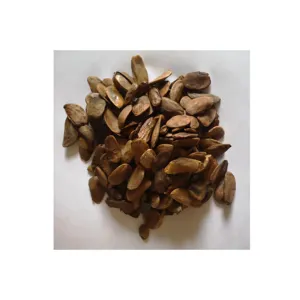 Amazing Botanicals Natural high quality Other Agriculture Products Akuamma seed extract 20:1 /picralima Nitida extract