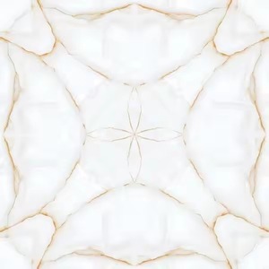 Vistaar 60x60 Carreaux de sol en céramique brillante polie 600x600mm 9mm émaillés 24x24 Offre spéciale haute brillance - Product Image 5