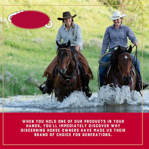 Precio barato de alta calidad 2025 Venta al por mayor Último diseño personalizado Circunferencia de equitación Material personalizado Circunferencia Nuevo diseño - Product Image 6