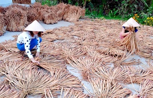 VIET NAM DRIED WATER HYACINTH ROPE RAW MATERIAL for <b>BASKETS</b> BEST QUALITY and Wholesaler Price for Buyer 99GD - Product Image 6