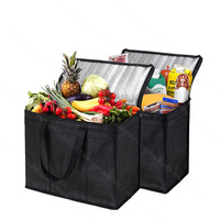Sac isotherme en TPU avec fermeture éclair, imperméable, pour le camping, les pique-niques, les voyages, les événements en plein air, personnalisable OEM