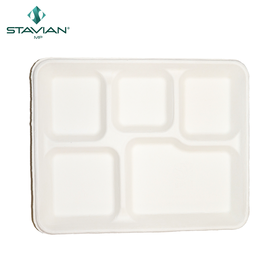 Lunch Box Waterproof 530ml OEM Bagasse Food Container Microwave Safe Biodegradable Bagasse Food Trays with 5 Compartments