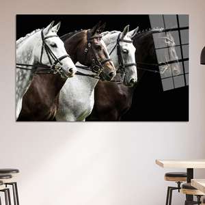 Elegante póster ecuestre de algodón - Lienzo con estampado de caballo blanco y marrón, arte en vidrio templado - Product Image 1