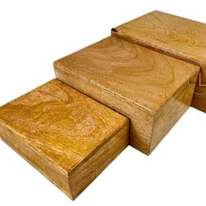 Urne funéraire en bois clair écologique Mémorial élégant pour les cendres humaines ou d'animaux domestiques Urne funéraire de luxe pour adultes - Product Image 1