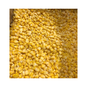 Maíz dulce amarillo y blanco IQF congelado a granel, maíz fresco entero de media forma, maíz vegetal de calidad de exportación para el comercio - Product Image 1