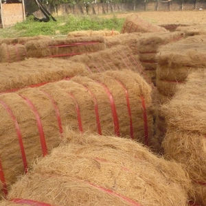 Fibra de Coco de Exportación de Ben Tre, Vietnam - Mejor Precio para Uso Industrial y Agrícola - Product Image 4