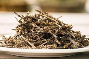 Plantago Major Seco a Granel, Planta Entera, Materia Prima Herbal Procesada y Limpia para Compradores Internacionales - Product Image 6