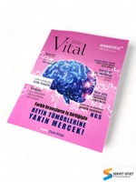 SERVET OFSET – Dossier de brochure imprimé offset couleur avec logo personnalisé, format sur mesure, pelliculage brillant, papier fantaisie, carton/ondulé