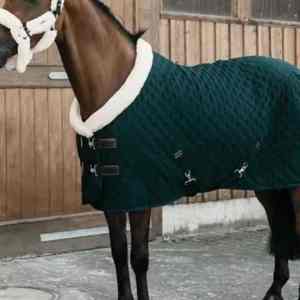 Couverture imperméable pour cheval, marron avec bordure turquoise, en tissu Oxford, toutes saisons, usage extérieur, 2 sangles de jambe, col standard, grande queue. - Product Image 3