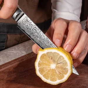 Vente en gros de coutellerie OEM ODM personnalisée Couteau de cuisine professionnel japonais Offre Spéciale Couteau de cuisine en acier Damas Lame fixe - Product Image 5