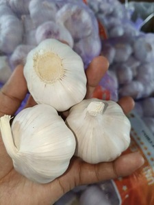 <b>Fresh</b> Natural <b>Fresh</b> <b>Garlic</b> Wholesale <b>Garlic</b> Super White Shandong <b>Garlic</b> - Product Image 2