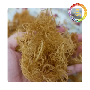 Wholesale Natural <b>Dried</b> Sea <b>Moss</b> | Delicious Seaweed From Viet Nam /High Quality Irish Sea <b>Moss</b> - Product Image 6