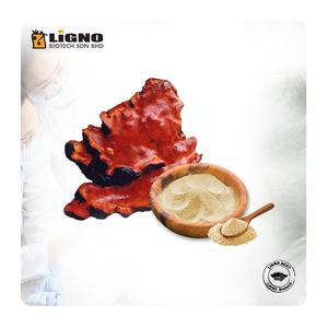 Malasia LiGNO AC07 Polvo de Antrodia Nutricosmético Funcional Salud Vitalidad OEM ODM Listo para Consumo Energía Natural Apoyo Inmunológico - Product Image 1