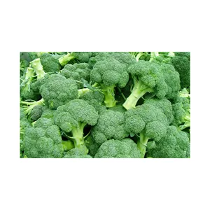Verduras Congeladas - Regalo