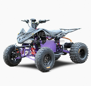 Powerful China DIY Plastic ATV Electric <b>Battery</b> 4000W <b>72V</b> Lithium 85km/h Front Rear Hydraulic Disc Brake ODM 3-Year Warranty - Product Image 3