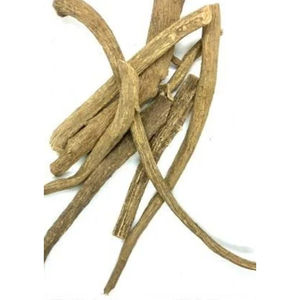 Inula racemosa - Product Image 2