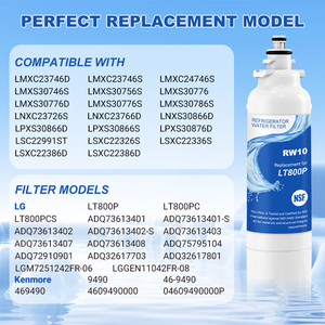 Filtre à eau pour réfrigérateur domestique en plastique à charbon actif RW10/LT800P – Pièce de rechange - Product Image 6