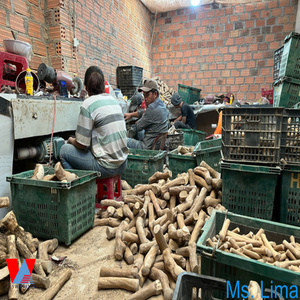 Ms Lima 100%, palo para masticar perro de madera de café Natural ecológico de Vietnam, tratamiento Arábica de larga duración para masticadores, estilo de dibujos animados - Product Image 4